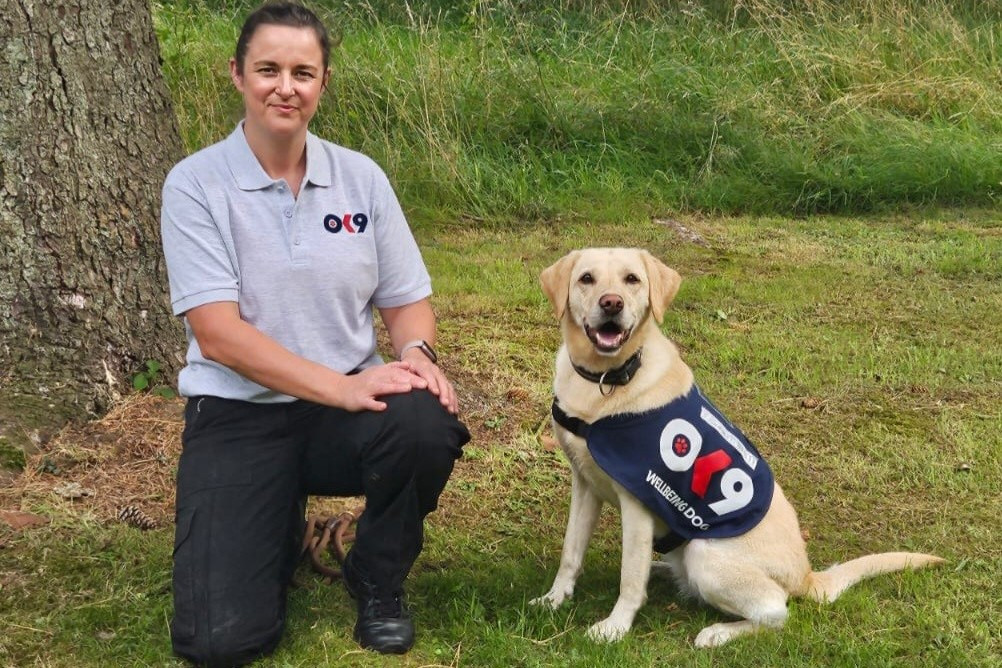 Meet Fergie: the canine colleague who's here to help